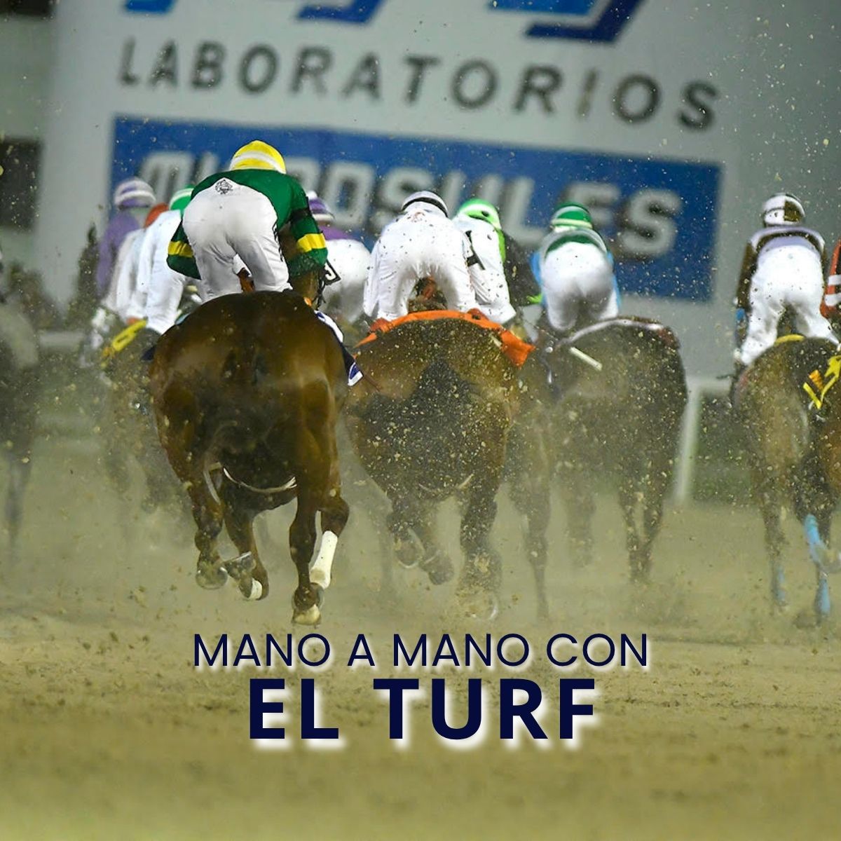 Mano a Mano con EL TURF